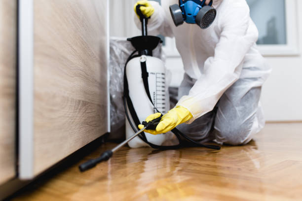 Best Cockroach Control Services  in Rosenhayn, NJ