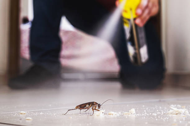 Best Affordable Pest Control Services  in Rosenhayn, NJ