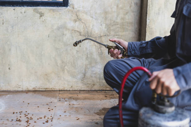 Best Local Pest Control Services  in Rosenhayn, NJ