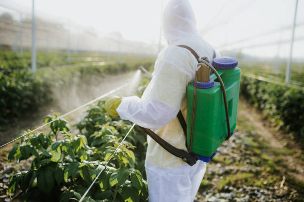 Best Pest Inspection Near Me  in Rosenhayn, NJ